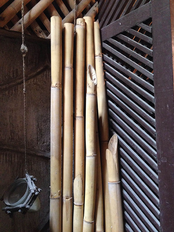 dry bamboo 1